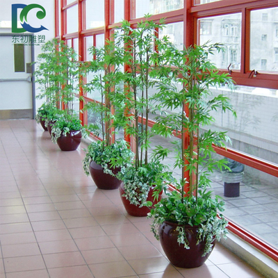 走廊竹子盆栽
