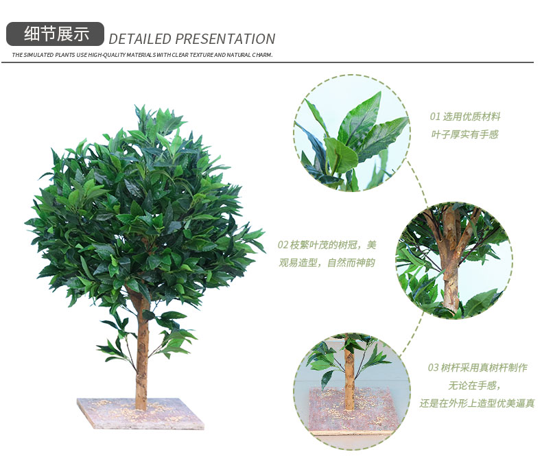 月桂树详情页_04.jpg