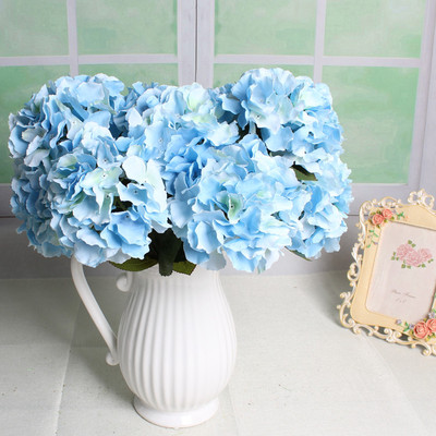 5頭馬洛卡大繡球