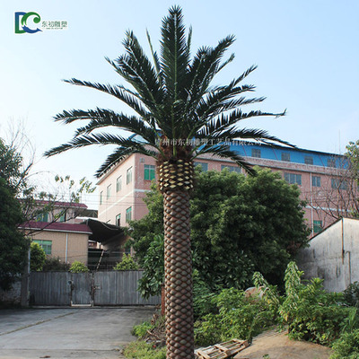 膠芭加納利海藻樹