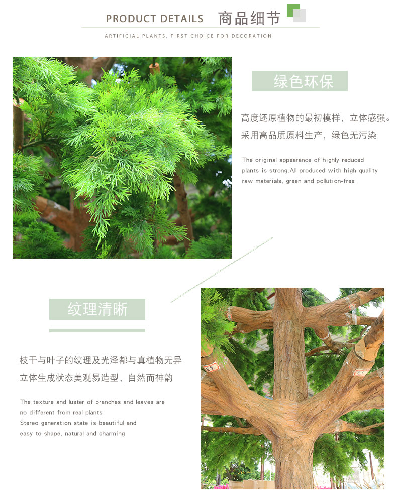 松柏樹詳情頁_03.jpg
