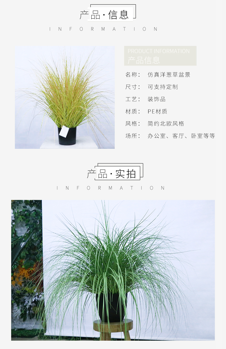 洋蔥草盆景_02.jpg