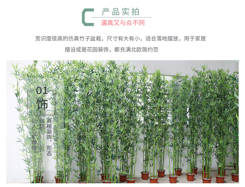 竹子詳情頁_06.jpg