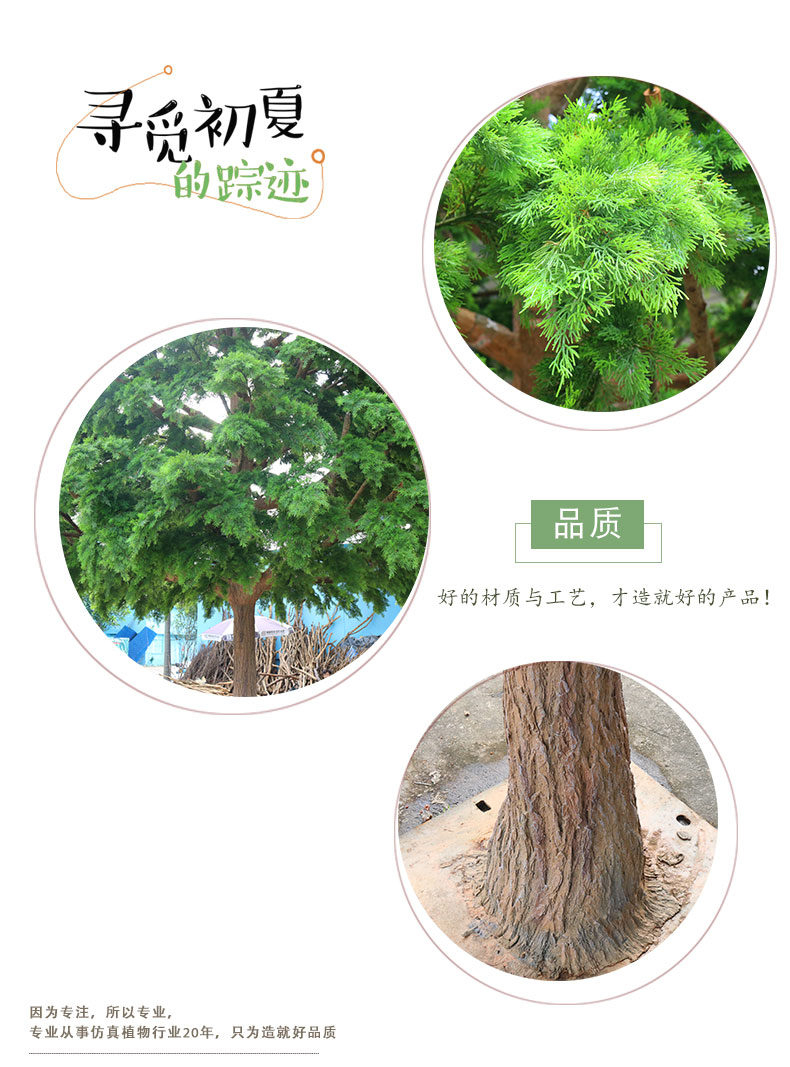 松柏樹詳情頁_06.jpg