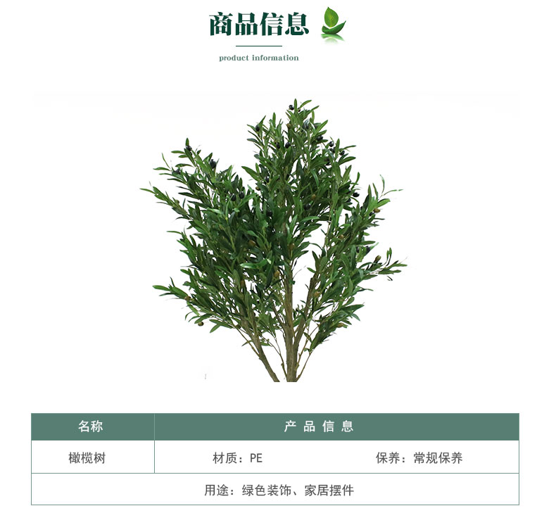 橄欖樹詳情頁(yè)_03.jpg