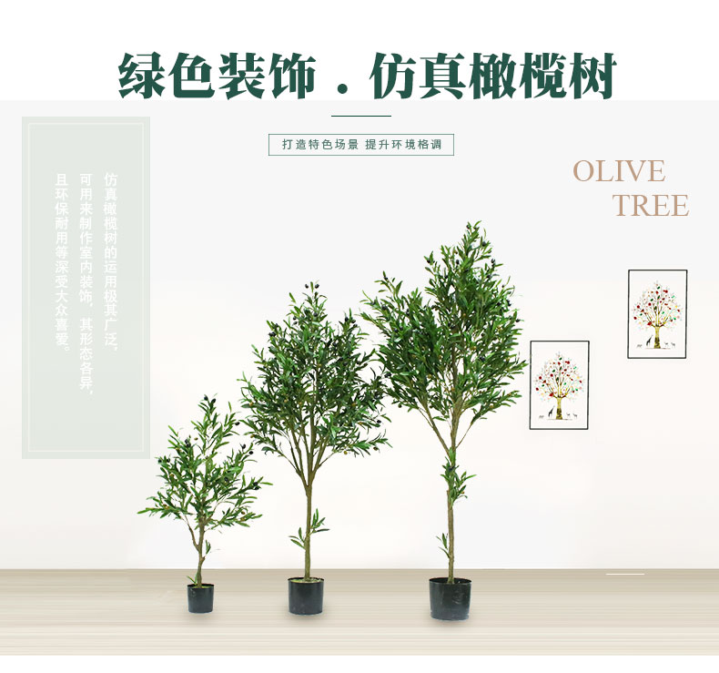 橄欖樹詳情頁(yè)_01.jpg