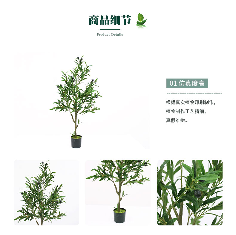 橄欖樹詳情頁(yè)_04.jpg
