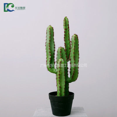 仙人柱DC2650810201