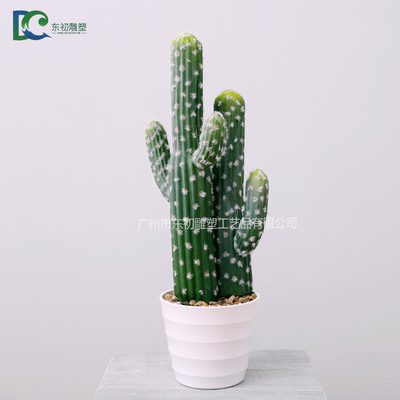 仙人柱DC2650810205