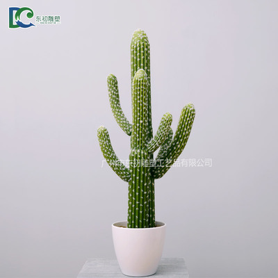 仙人柱DC2650810202