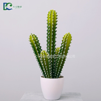 仙人柱DC2650810203