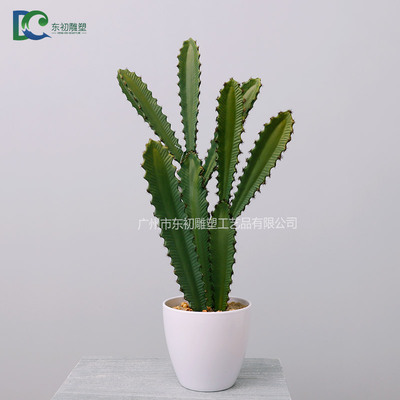 仙人柱DC2650810206