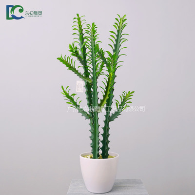 仙人掌DC2650810208