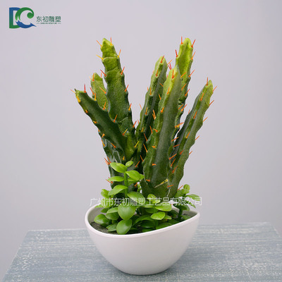 仙人柱DC26508102010