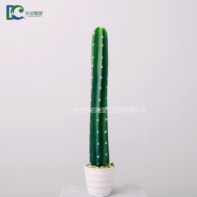 仙人柱DC2650810209