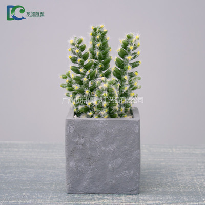 仙人柱DC26508102020