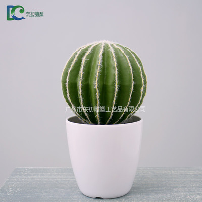 仙人球DC26508102021