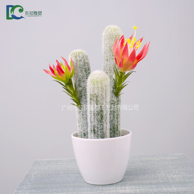 仙人柱DC26508102019