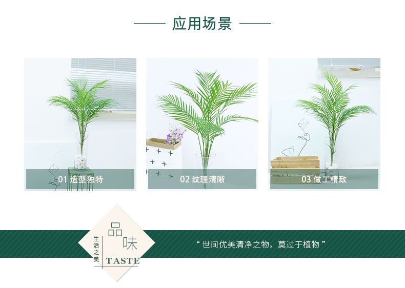 葵葉詳情頁_02.jpg