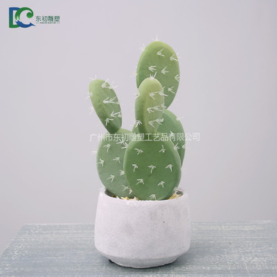 仙人掌DC26508102013