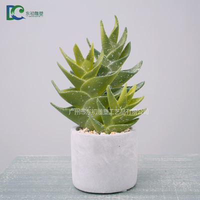 仙人掌DC26508102011