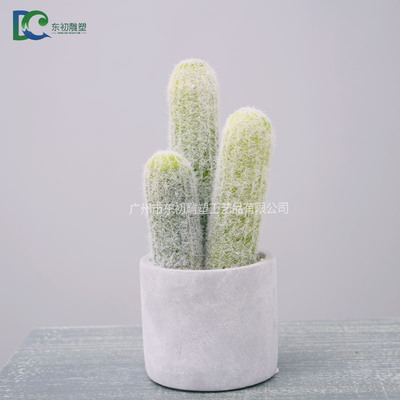 仙人柱DC26508102012