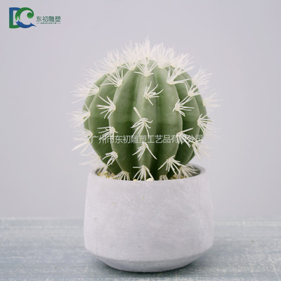 仙人球DC26508102014