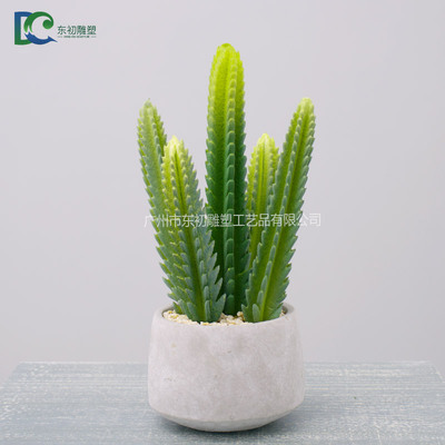 仙人柱DC26508102015