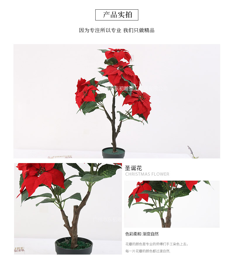 圣誕花詳情頁_06.jpg