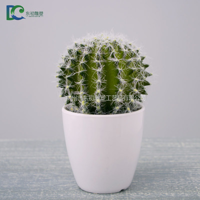 仙人球DC26508102022