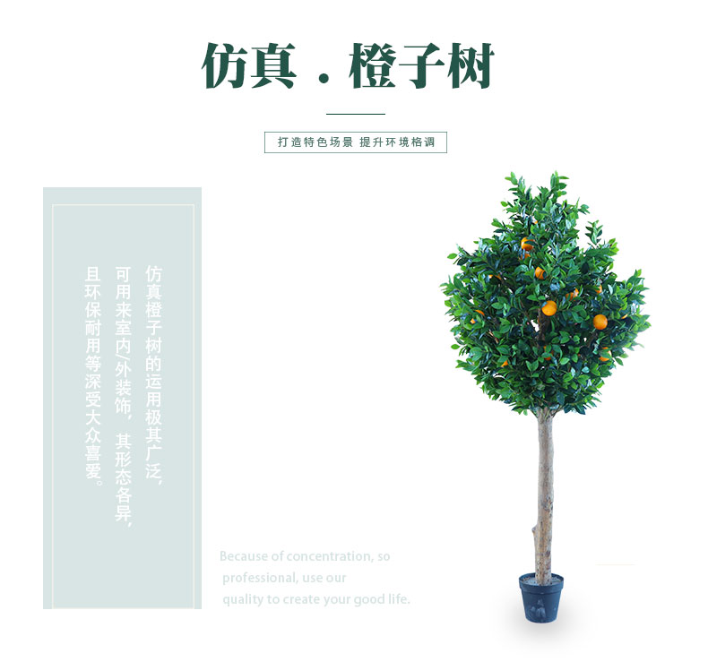 橙子樹詳情頁(yè)_01.jpg