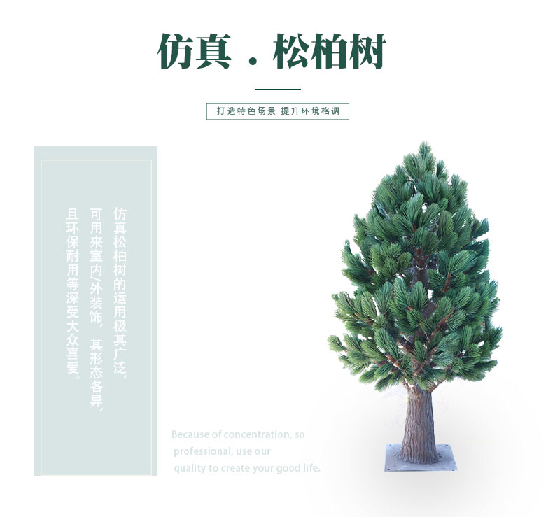 松柏樹詳情頁(yè)_01.jpg