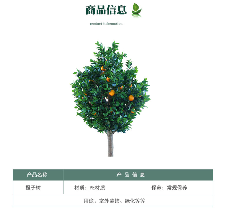 橙子樹詳情頁(yè)_03.jpg
