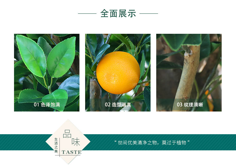 橙子樹詳情頁(yè)_02.jpg