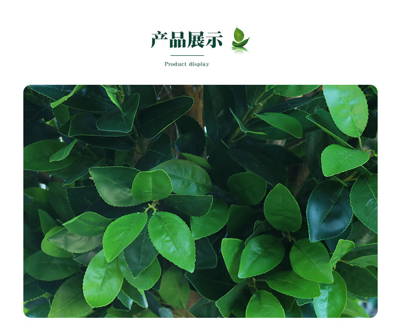 橙子樹詳情頁(yè)_05.jpg