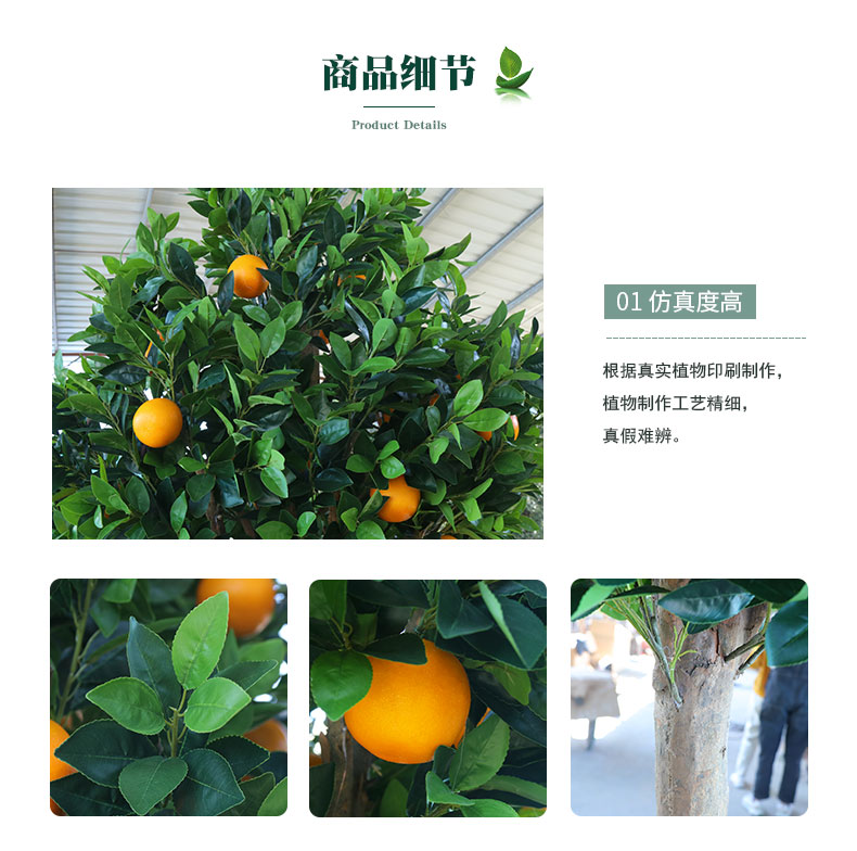 橙子樹詳情頁(yè)_04.jpg