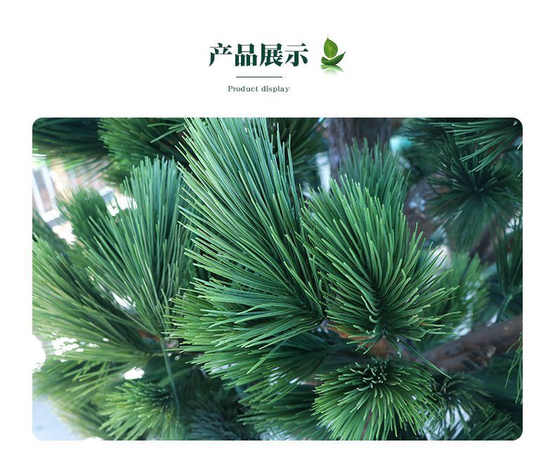 松柏樹詳情頁(yè)_05.jpg