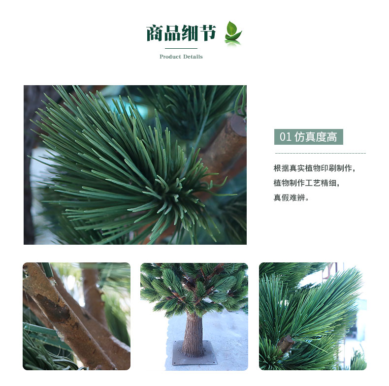 松柏樹詳情頁(yè)_04.jpg