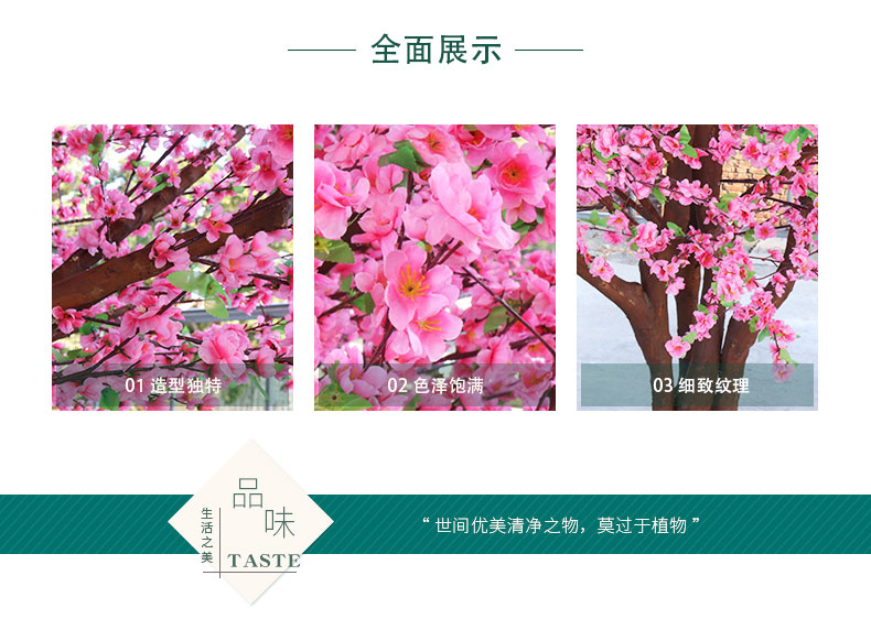 櫻花樹詳情頁_02.jpg