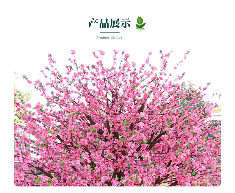 櫻花樹詳情頁_05.jpg