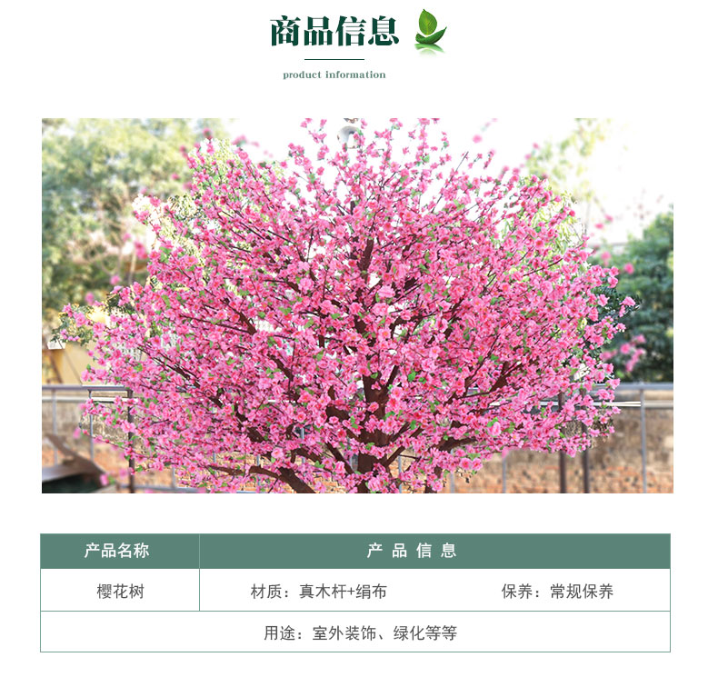 櫻花樹詳情頁_03.jpg