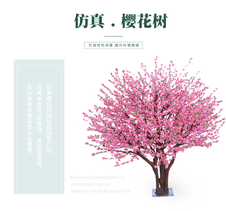 櫻花樹詳情頁_01.jpg