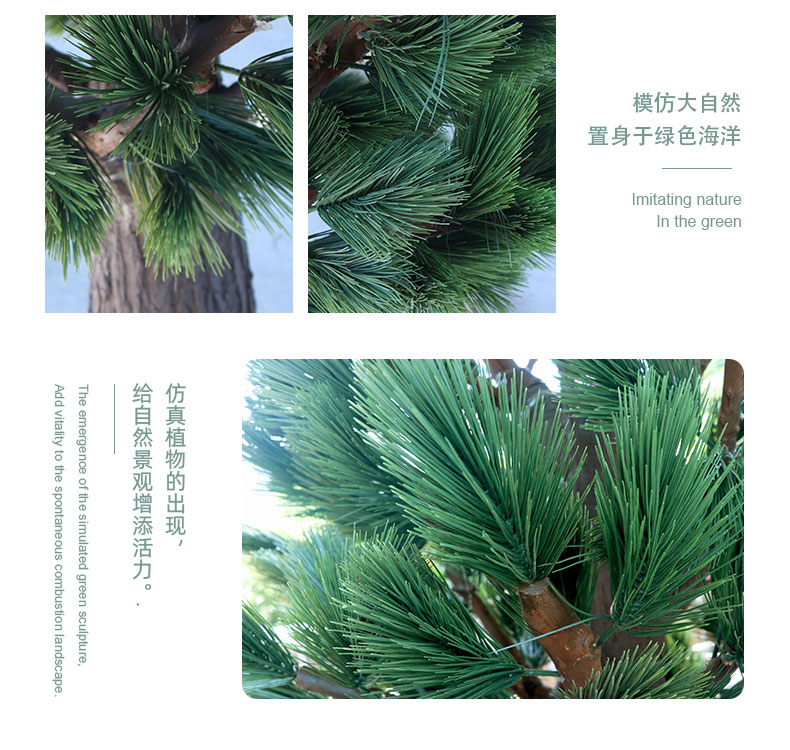 松柏樹詳情頁(yè)_06.jpg