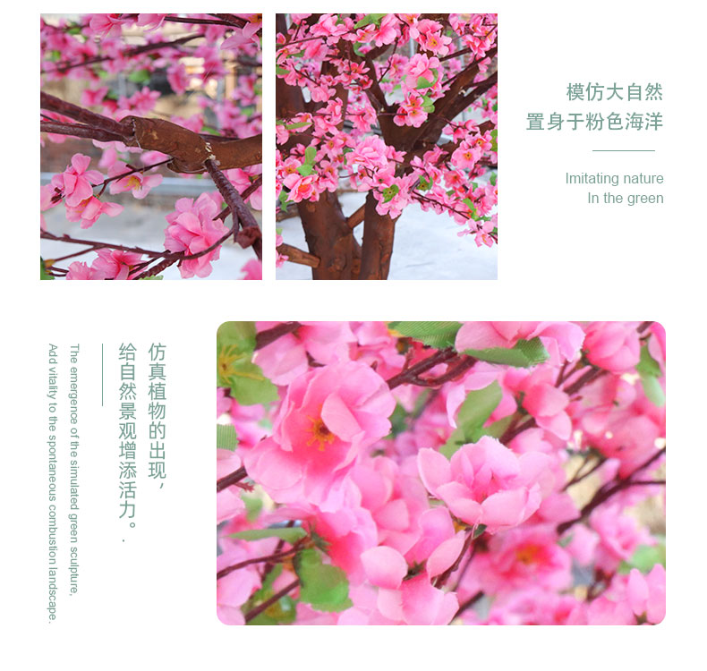 櫻花樹詳情頁_06.jpg