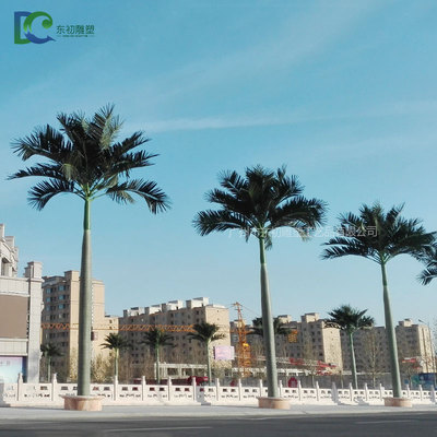 永亮溫泉水世界大王椰樹