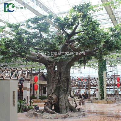 ?？谵r(nóng)業(yè)公園古榕樹