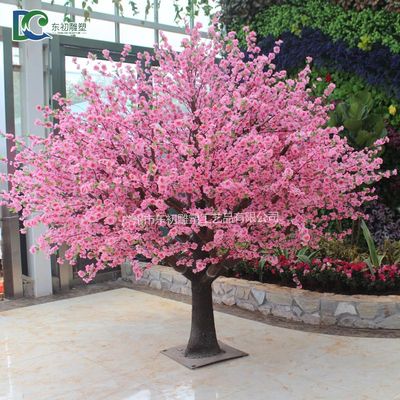 ?？趪肄r(nóng)業(yè)公園桃花樹