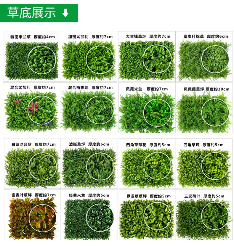綠植墻詳情--案例_09.jpg