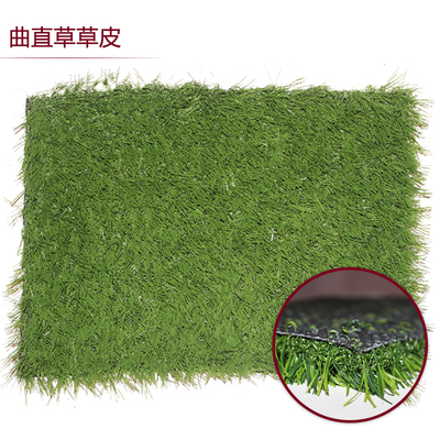 曲直草草皮