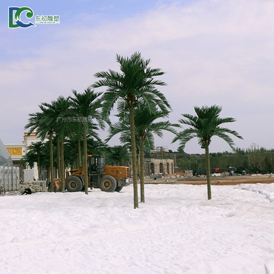 銀川天山海世界椰子樹